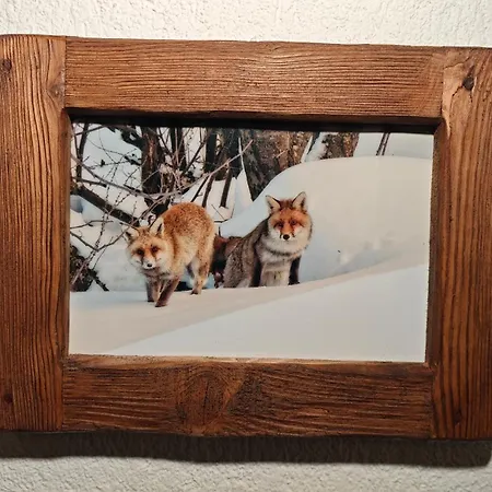 Hostdomus - La Tana Della Volpe Lägenhet Oulx